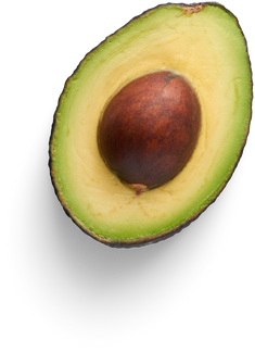 Isolated Cutout PNG