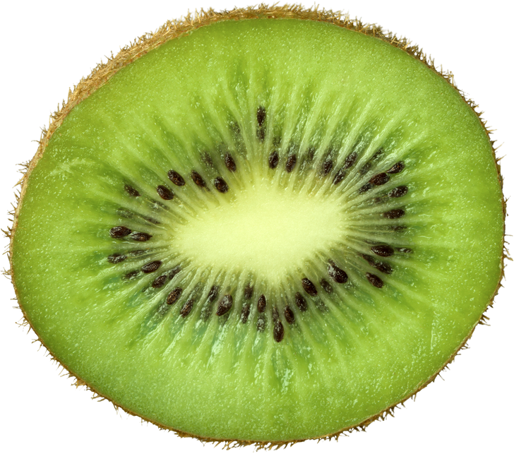 Half Slice of Fresh Kiwi